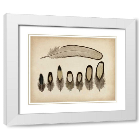 Vintage Feathers IX White Modern Wood Framed Art Print with Double Matting by Unknown