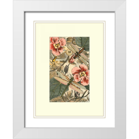 Dancing Dragonfly II White Modern Wood Framed Art Print with Double Matting by Unknown