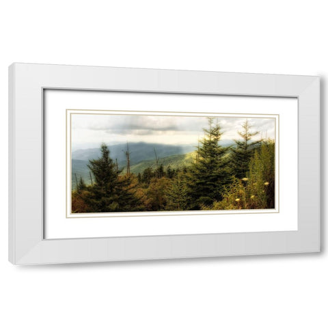 Custom Early Autumn Vista (ASH) White Modern Wood Framed Art Print with Double Matting by Head, Danny