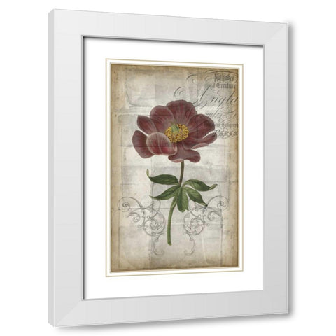 French Floral I White Modern Wood Framed Art Print with Double Matting by Goldberger, Jennifer