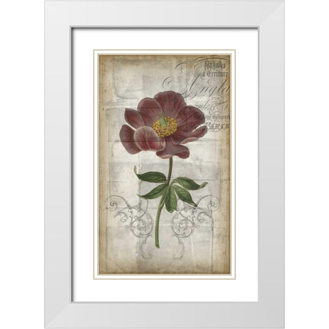 French Floral I White Modern Wood Framed Art Print with Double Matting by Goldberger, Jennifer