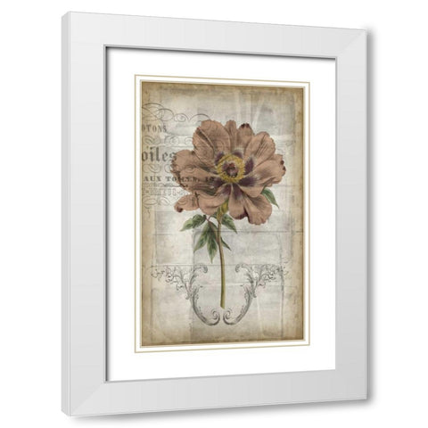 French Floral II White Modern Wood Framed Art Print with Double Matting by Goldberger, Jennifer