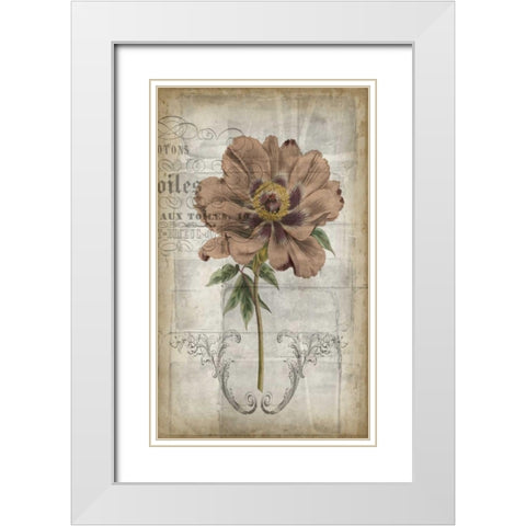 French Floral II White Modern Wood Framed Art Print with Double Matting by Goldberger, Jennifer