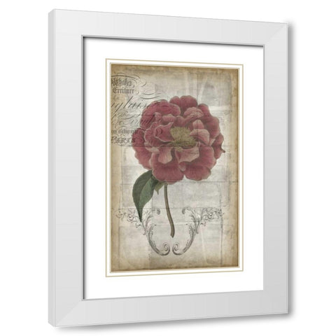 French Floral III White Modern Wood Framed Art Print with Double Matting by Goldberger, Jennifer