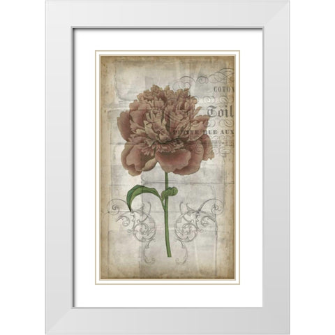 French Floral IV White Modern Wood Framed Art Print with Double Matting by Goldberger, Jennifer
