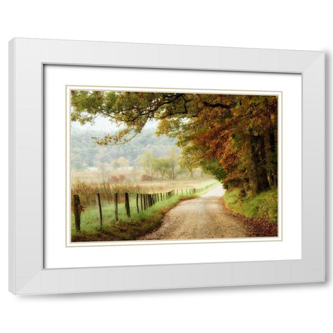 Autumn on a Country Road White Modern Wood Framed Art Print with Double Matting by Head, Danny