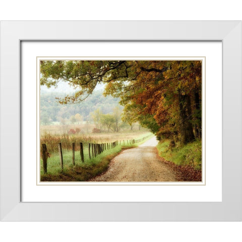 Autumn on a Country Road White Modern Wood Framed Art Print with Double Matting by Head, Danny