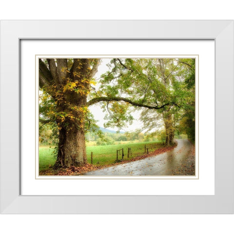 Wet Path White Modern Wood Framed Art Print with Double Matting by Head, Danny