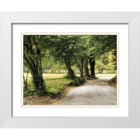 Path in the Country White Modern Wood Framed Art Print with Double Matting by Head, Danny