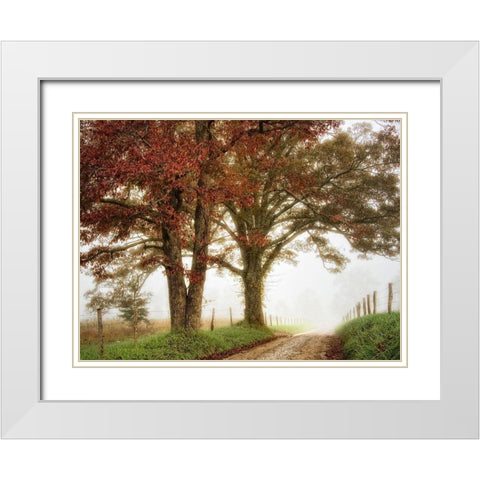 Two Oaks White Modern Wood Framed Art Print with Double Matting by Head, Danny