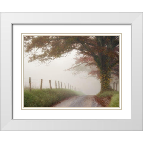 Blanket of Fog White Modern Wood Framed Art Print with Double Matting by Head, Danny
