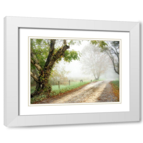 Feel the Silence White Modern Wood Framed Art Print with Double Matting by Head, Danny