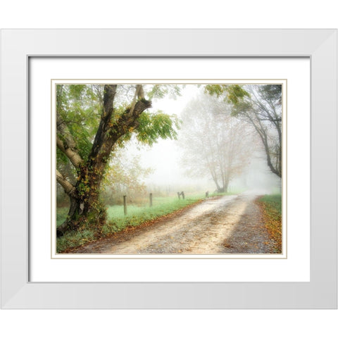 Feel the Silence White Modern Wood Framed Art Print with Double Matting by Head, Danny