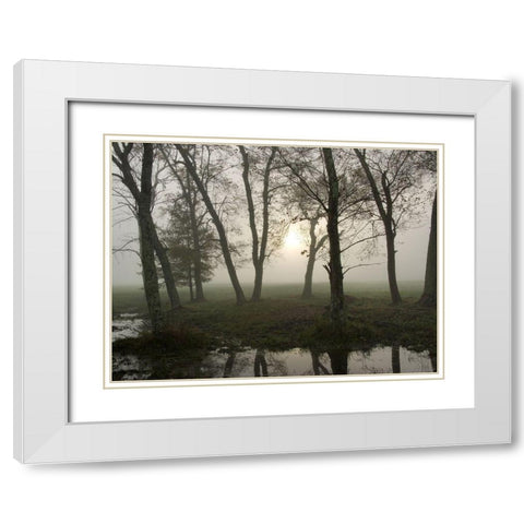 Reflections of Nature White Modern Wood Framed Art Print with Double Matting by Head, Danny