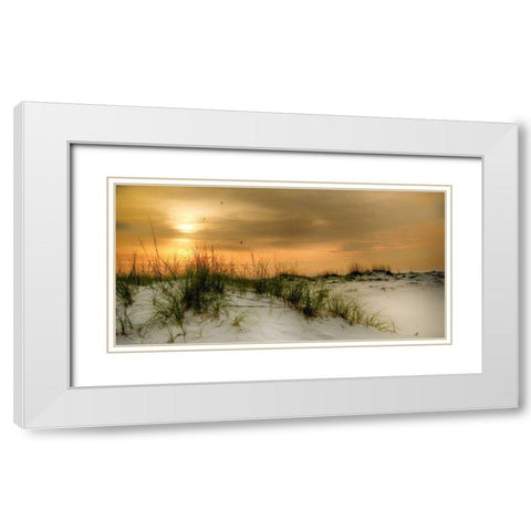 Seagulls at Sunrise White Modern Wood Framed Art Print with Double Matting by Head, Danny