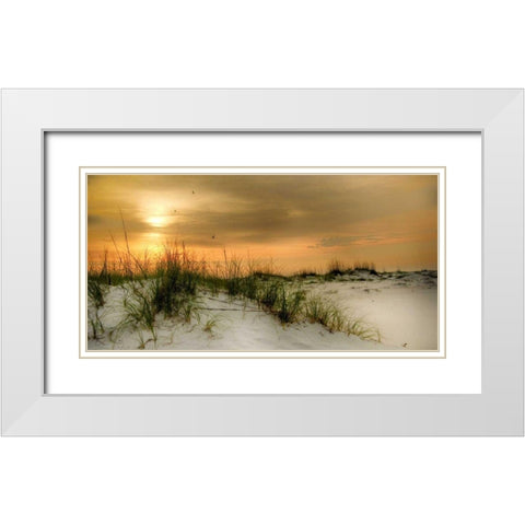 Seagulls at Sunrise White Modern Wood Framed Art Print with Double Matting by Head, Danny