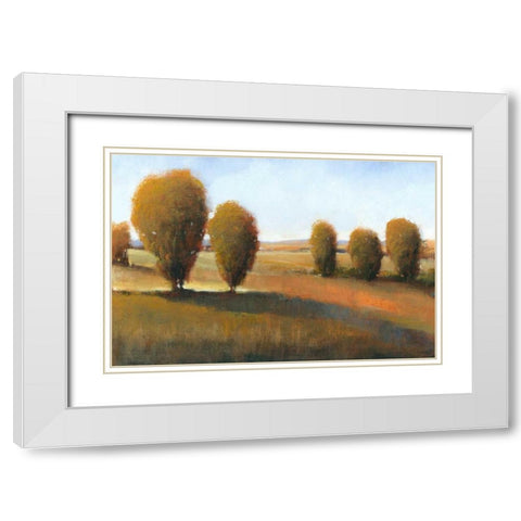Afternoon Light I White Modern Wood Framed Art Print with Double Matting by OToole, Tim