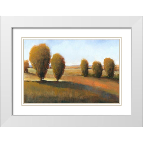 Afternoon Light I White Modern Wood Framed Art Print with Double Matting by OToole, Tim