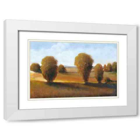 Afternoon Light II White Modern Wood Framed Art Print with Double Matting by OToole, Tim