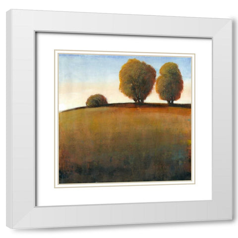 Afternoon Light IV White Modern Wood Framed Art Print with Double Matting by OToole, Tim