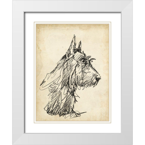 Breed Studies I White Modern Wood Framed Art Print with Double Matting by Harper, Ethan