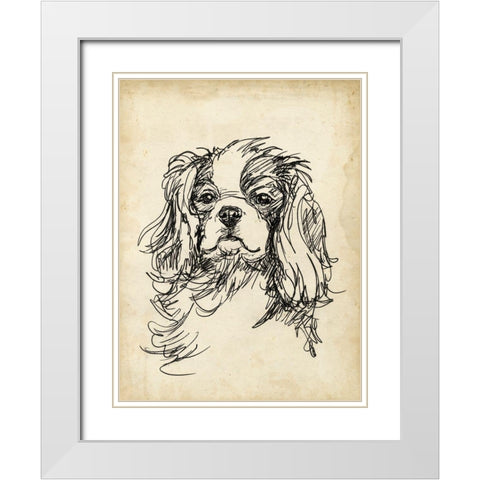 Breed Studies II White Modern Wood Framed Art Print with Double Matting by Harper, Ethan