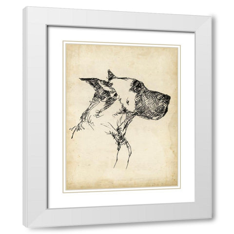 Breed Studies IV White Modern Wood Framed Art Print with Double Matting by Harper, Ethan