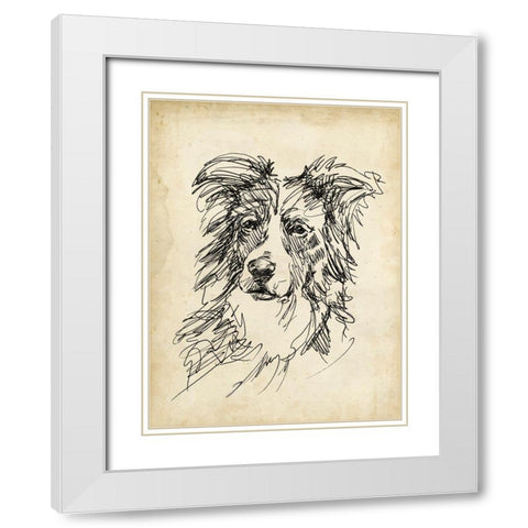 Breed Studies V White Modern Wood Framed Art Print with Double Matting by Harper, Ethan