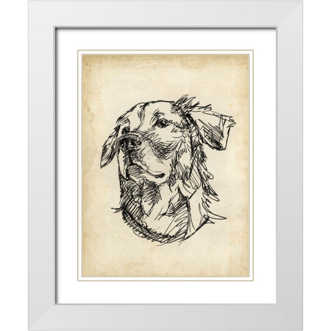 Breed Studies VIII White Modern Wood Framed Art Print with Double Matting by Harper, Ethan