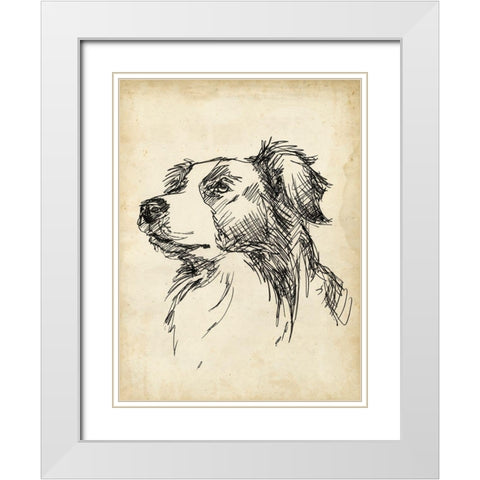 Breed Studies IX White Modern Wood Framed Art Print with Double Matting by Harper, Ethan