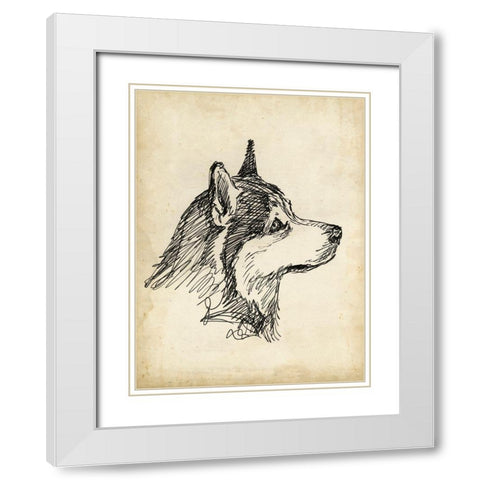 Breed Studies X White Modern Wood Framed Art Print with Double Matting by Harper, Ethan
