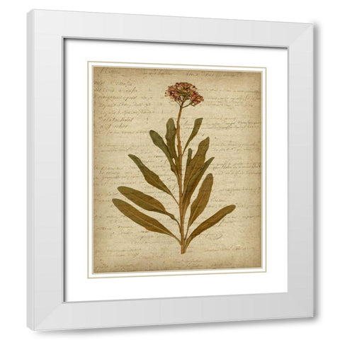 Romantic Pressed Flowers II White Modern Wood Framed Art Print with Double Matting by Goldberger, Jennifer