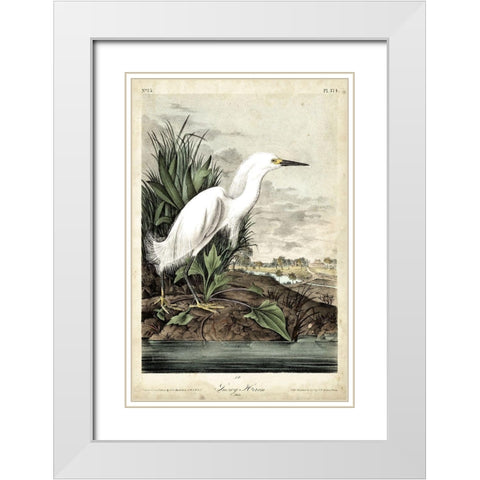 Snowy Heron White Modern Wood Framed Art Print with Double Matting by Audubon, John James