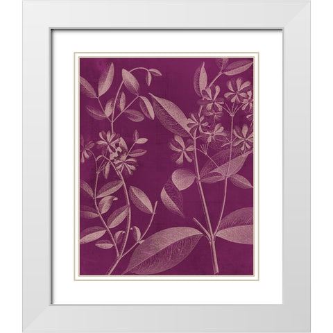 Modern Botany III White Modern Wood Framed Art Print with Double Matting by Vision Studio