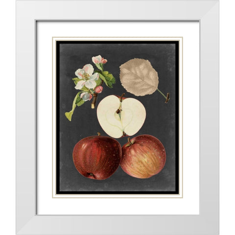 Midnight Harvest I White Modern Wood Framed Art Print with Double Matting by Vision Studio