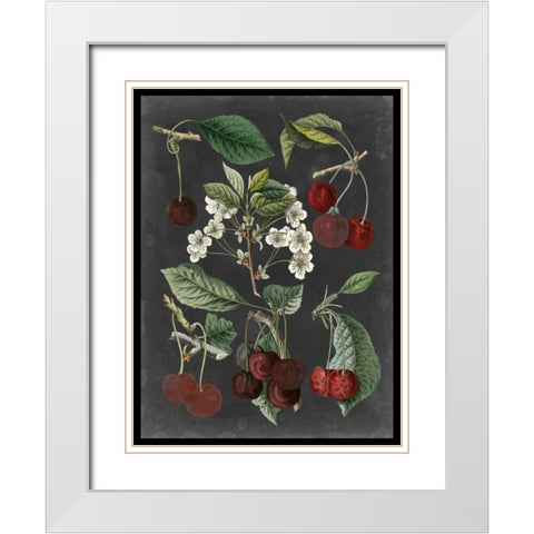 Orchard Varieties I White Modern Wood Framed Art Print with Double Matting by Vision Studio