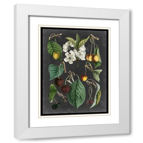 Orchard Varieties II White Modern Wood Framed Art Print with Double Matting by Vision Studio