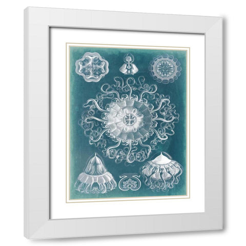 Sealife Blueprint II White Modern Wood Framed Art Print with Double Matting by Vision Studio
