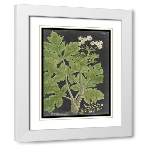 Dramatic Weinmann Greenery I White Modern Wood Framed Art Print with Double Matting by Vision Studio