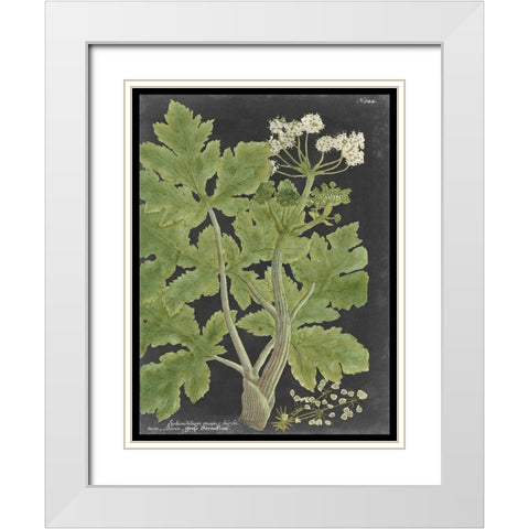 Dramatic Weinmann Greenery I White Modern Wood Framed Art Print with Double Matting by Vision Studio