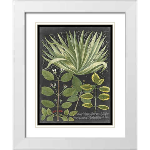 Dramatic Weinmann Greenery IV White Modern Wood Framed Art Print with Double Matting by Vision Studio