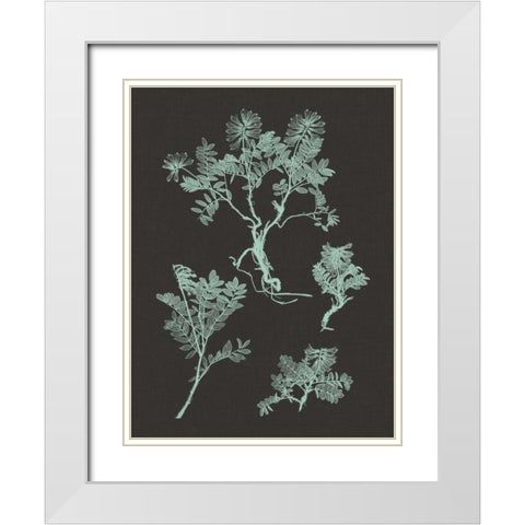 Mint and Charcoal Nature Study II White Modern Wood Framed Art Print with Double Matting by Vision Studio