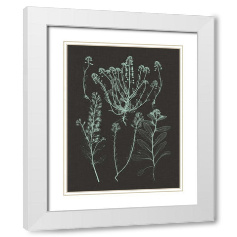 Mint and Charcoal Nature Study III White Modern Wood Framed Art Print with Double Matting by Vision Studio