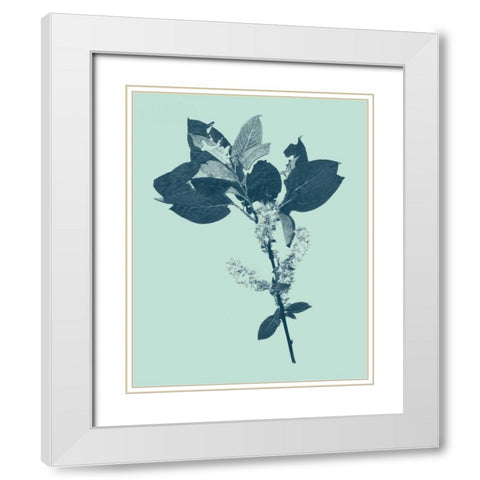 Indigo and Mint Botanical Study V White Modern Wood Framed Art Print with Double Matting by Vision Studio