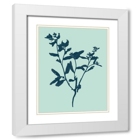 Indigo and Mint Botanical Study VII White Modern Wood Framed Art Print with Double Matting by Vision Studio