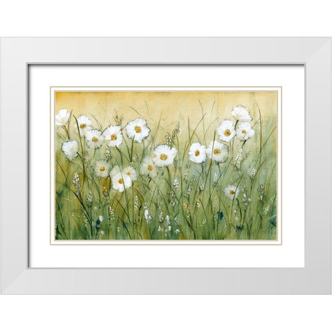 Daisy Spring II White Modern Wood Framed Art Print with Double Matting by OToole, Tim