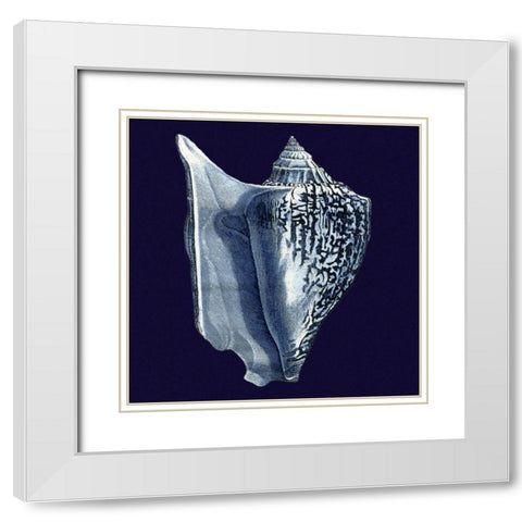 Indigo Shells I White Modern Wood Framed Art Print with Double Matting by Vision Studio