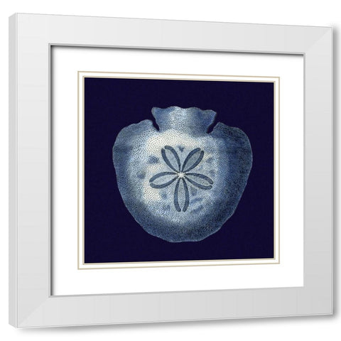 Indigo Shells III White Modern Wood Framed Art Print with Double Matting by Vision Studio