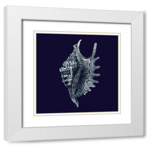 Indigo Shells VI White Modern Wood Framed Art Print with Double Matting by Vision Studio