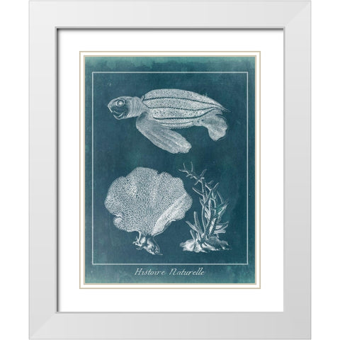 Azure Sea Turtle Study II White Modern Wood Framed Art Print with Double Matting by Vision Studio